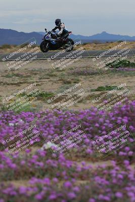 media/Jan-14-2023-SoCal Trackdays (Sat) [[497694156f]]/Turn 14 Exit Bloomig (145pm)/